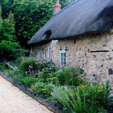 Afton Thatch: Beautiful Thatched Family Cottage 淡水 外观 照片
