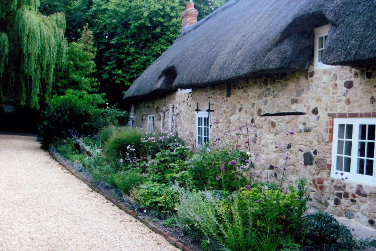 Afton Thatch: Beautiful Thatched Family Cottage 淡水 外观 照片
