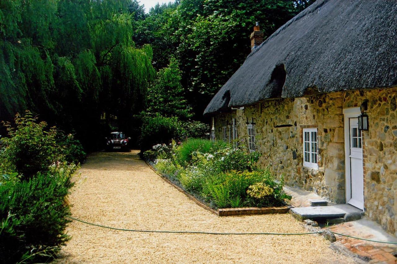 Afton Thatch: Beautiful Thatched Family Cottage 淡水 外观 照片